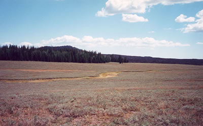 Cinder cone and lava flow