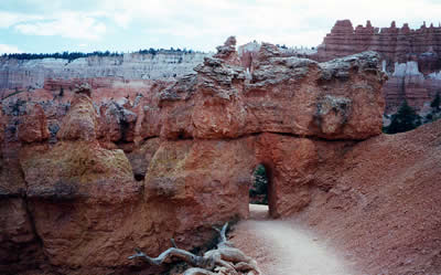 Arch on the Queens Garden Trail