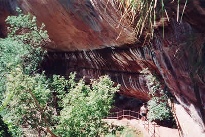 A photo of Rachelle on the trail