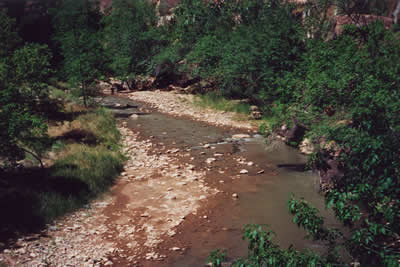 The Virgin River