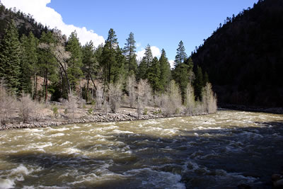 Animas River