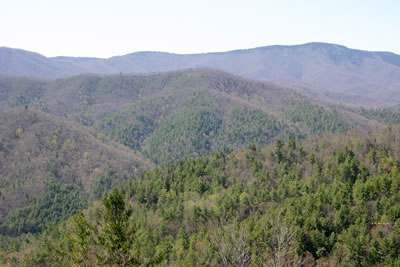 View from an Overlook